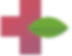 SRCOIN LOGO 2.png
